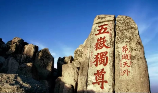 喜訊!泰山牌輕鋼龍骨榮獲“中國十大輕鋼龍骨品牌”稱號
